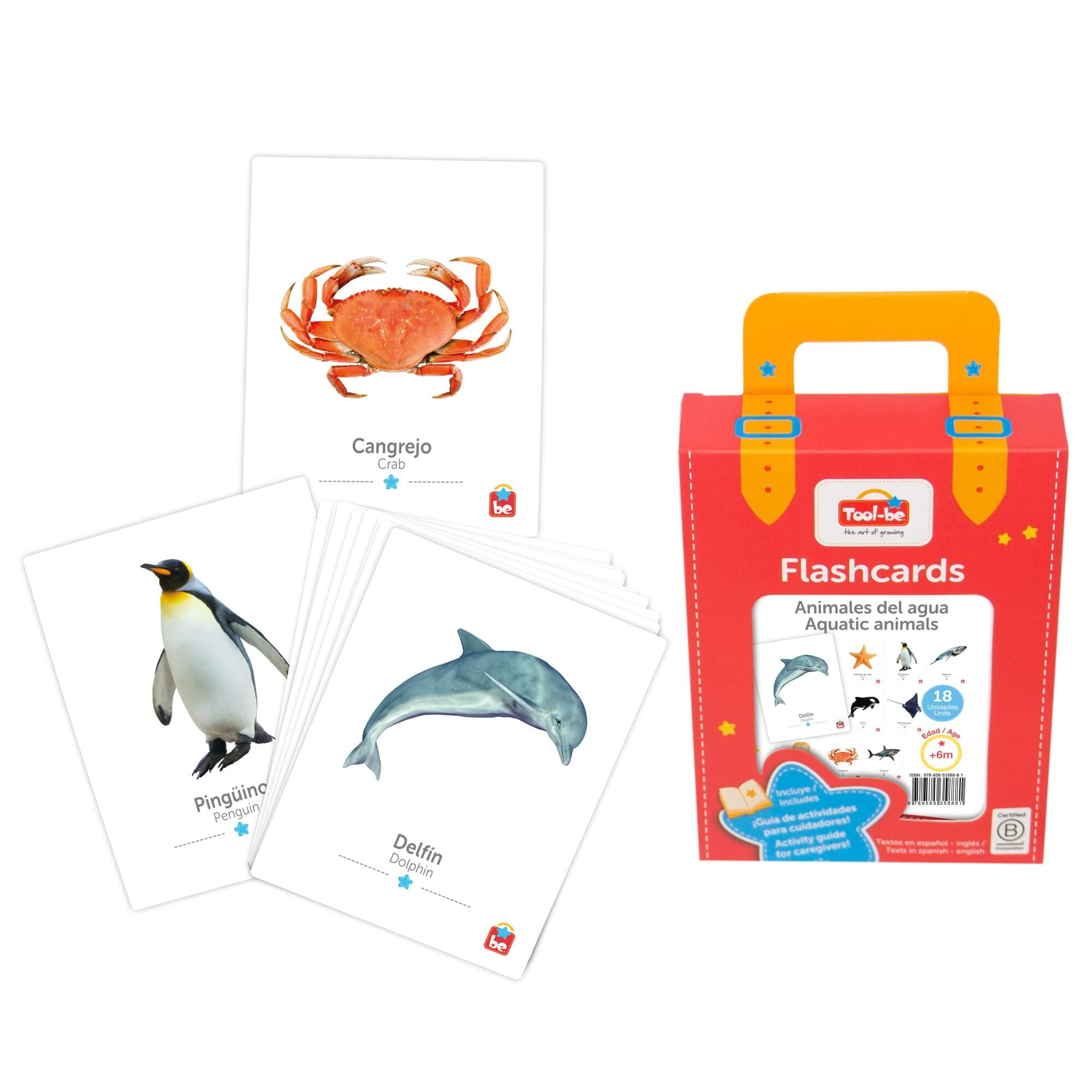 Flash Cards Animales del Agua